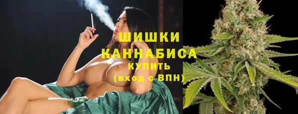 Альфа ПВП Аркадак