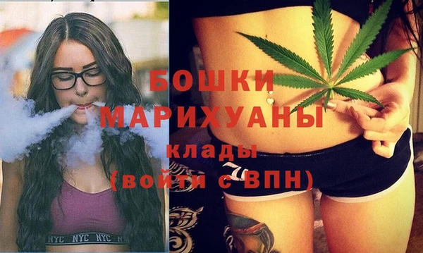 Альфа ПВП Аркадак