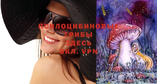каннабис Арсеньев