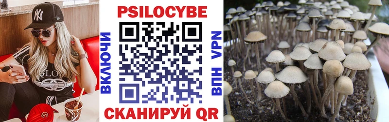 Галлюциногенные грибы мицелий  Холм 